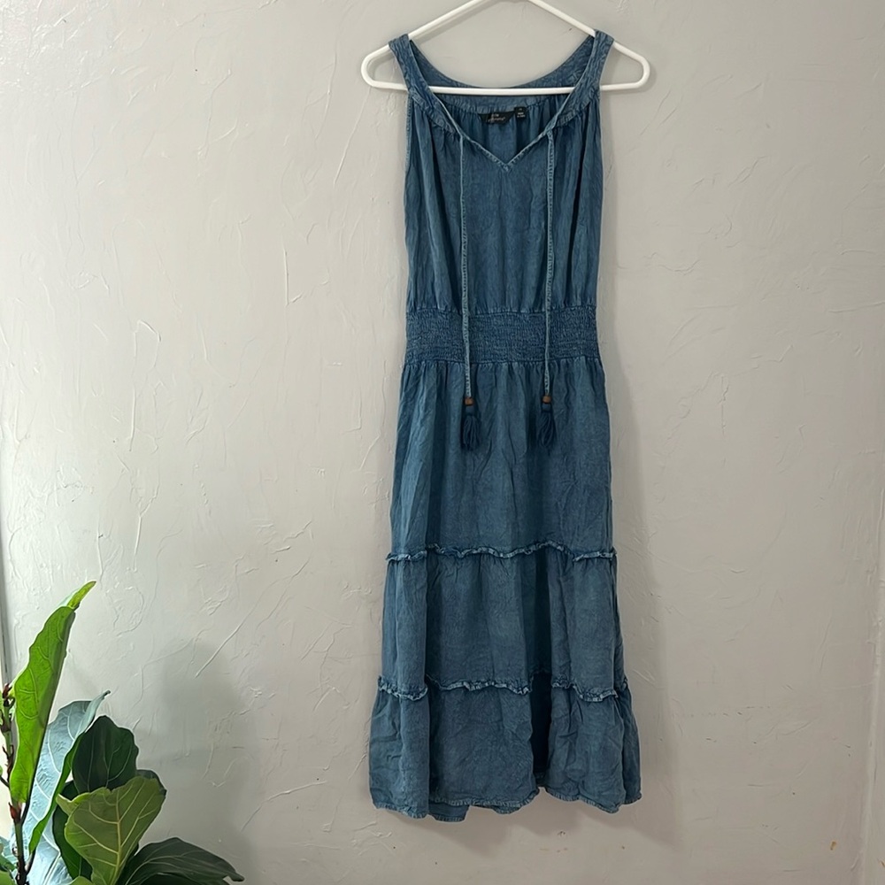 1x denim dress